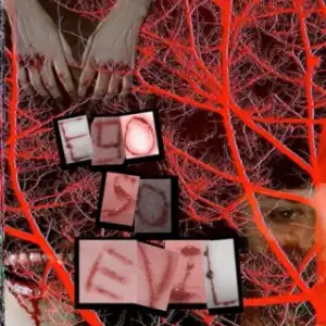 Instrumental: Ego Mackey - So Evil  (Produced By Slavery)